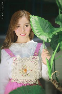 樱花动漫官网官方入门网站入口